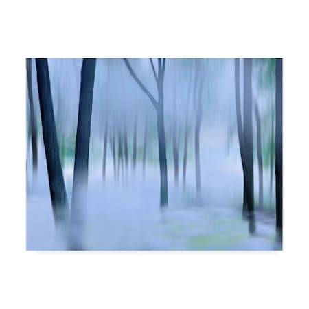 James Mcloughlin 'Misty Mountains Xvi' Canvas Art,24x32
